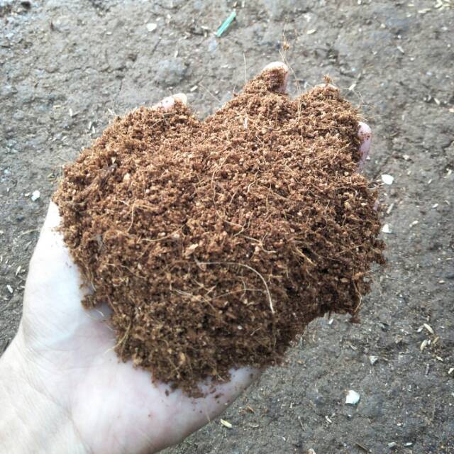 

Cocopeat serbuk sabut kelapa untuk media tanam 500 gr