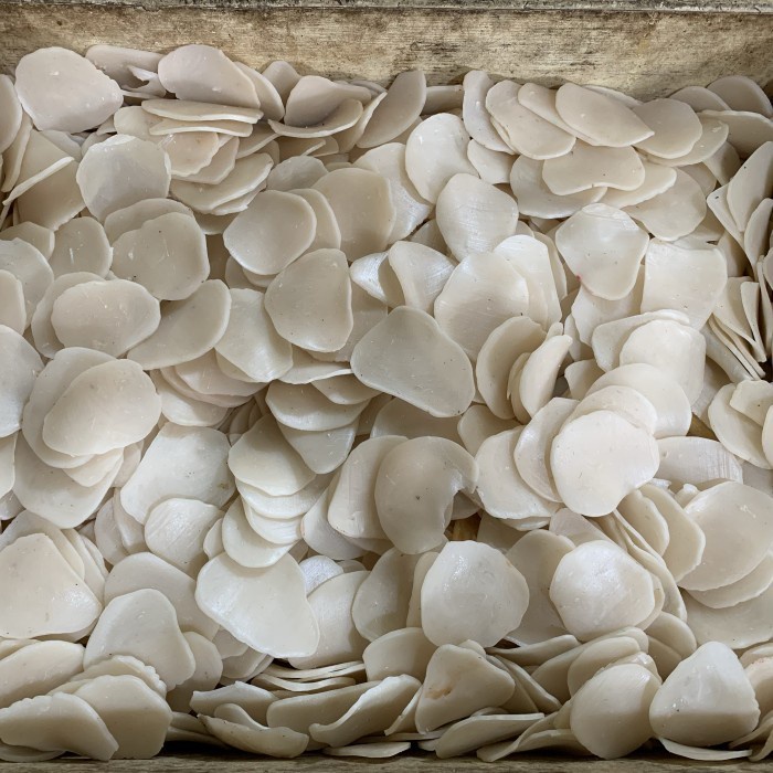 

Kerupuk Ikan Tenggiri - 500 gram