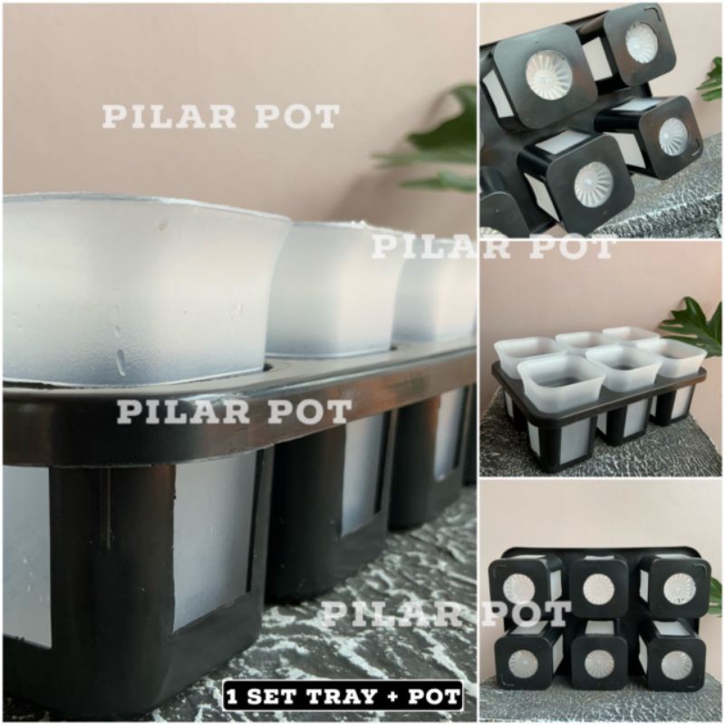 1 set Tray + pot nkt kotak 8 cm BENING TRANSPARAN | tray semai bibit