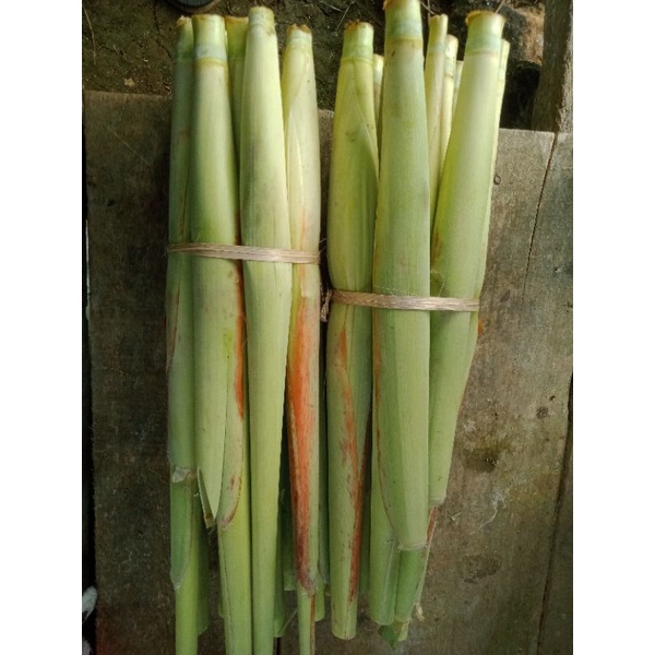 

terubuk, tebu sayur,telur endog,kaso. harga per ikat