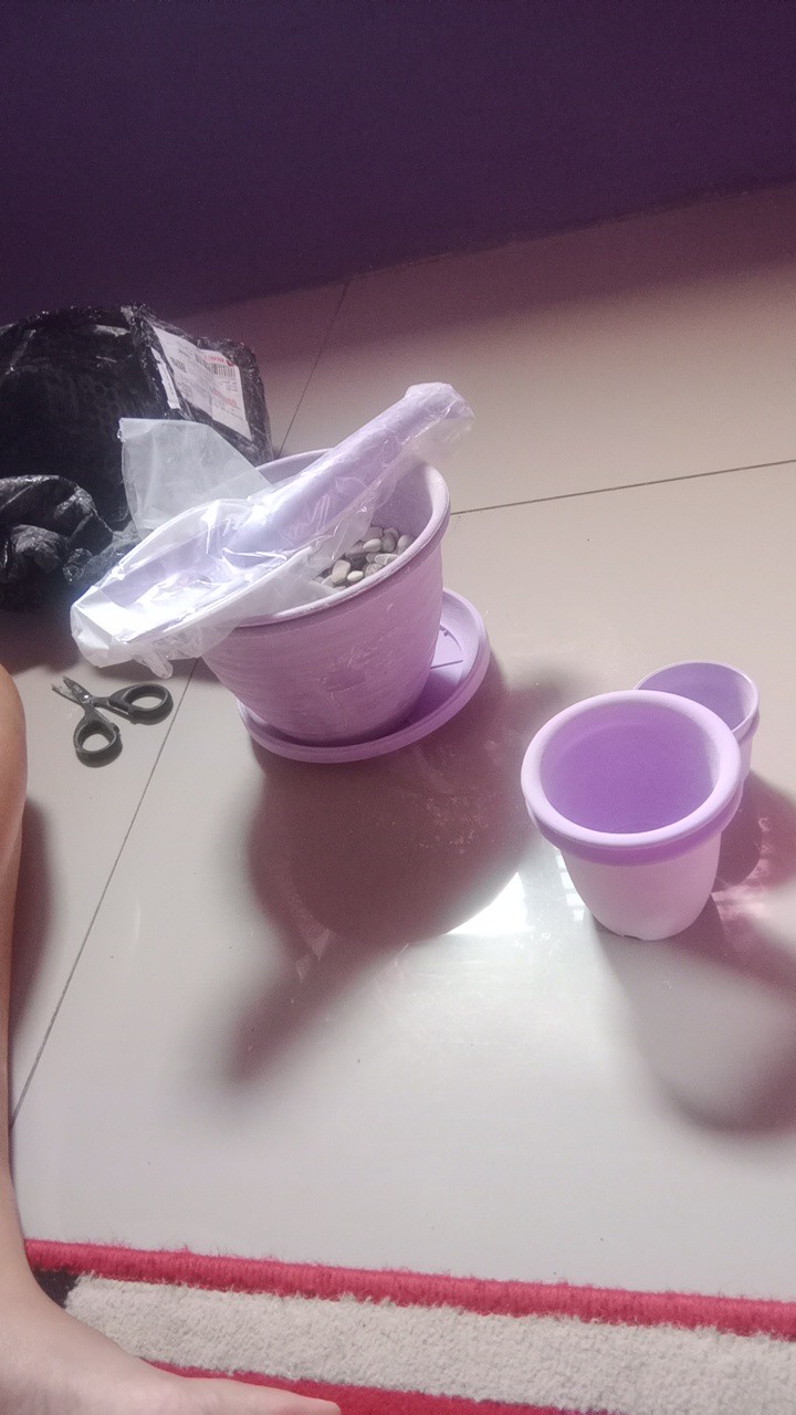 Pot Bunga Tanaman Mdn Warna Warni 18cm Model Tawon - Mdn