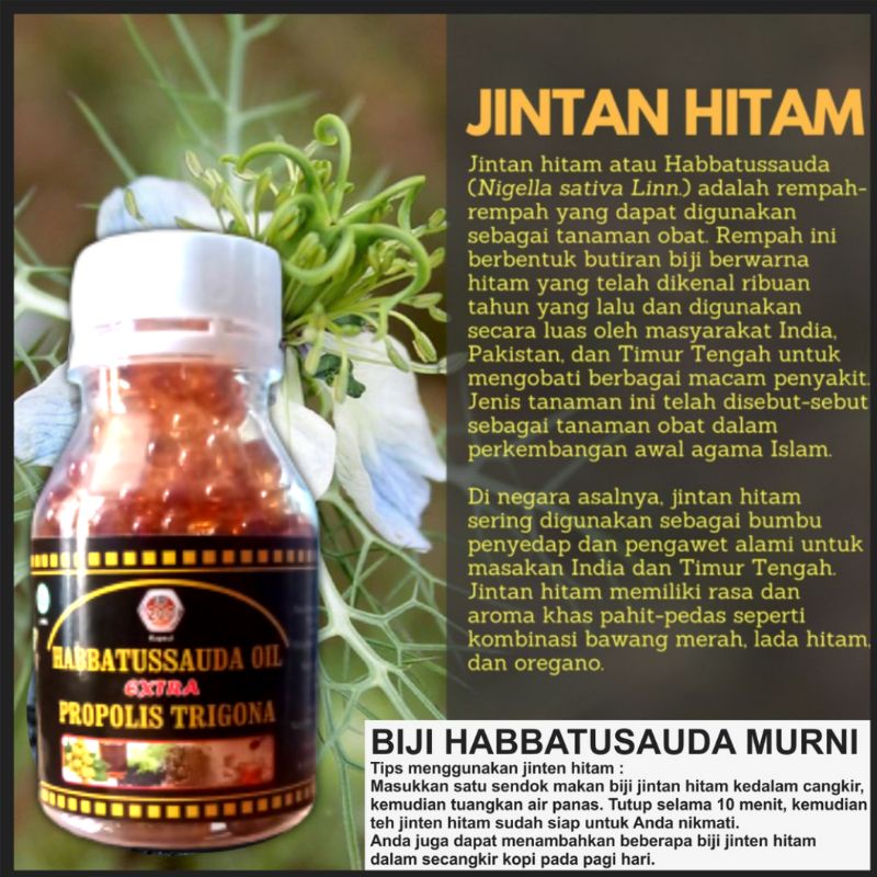 Habbatussauda Extra Propolis Trigona Original Habtusauda Asli Plus Propolis trigona Habbatusauda jin