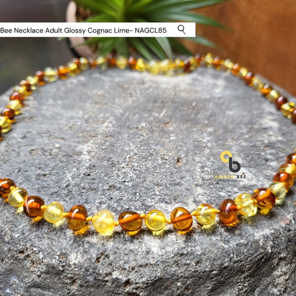 Kalung Amber Dewasa Premium Glossy Cognac Lime by Amberbee NAGCL85