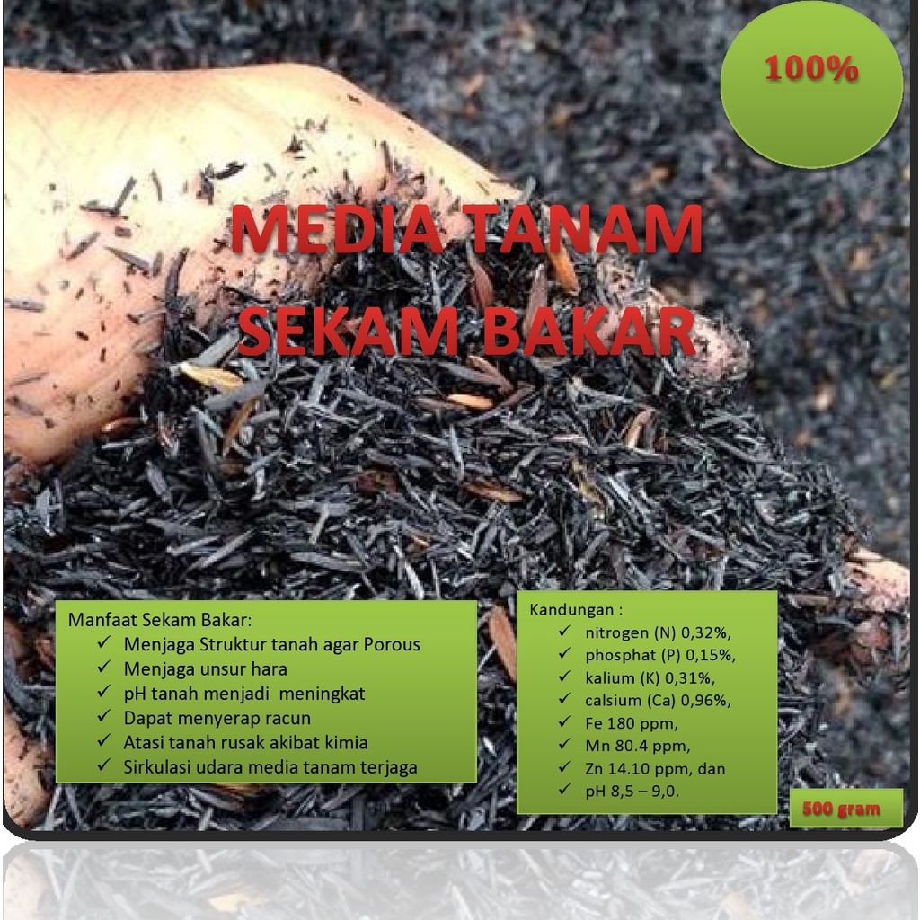 Media Tanam Arang Sekam Bakar Tanah Subur Media Tanam Organik Sekam Bakar Murni