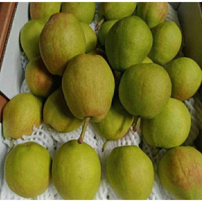 pear xiang li 1 kg