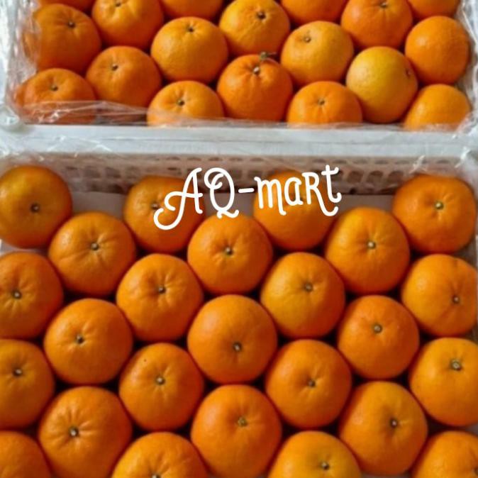 

Promo Buah Jeruk Mandarin Murcot Wokam 1Kg
