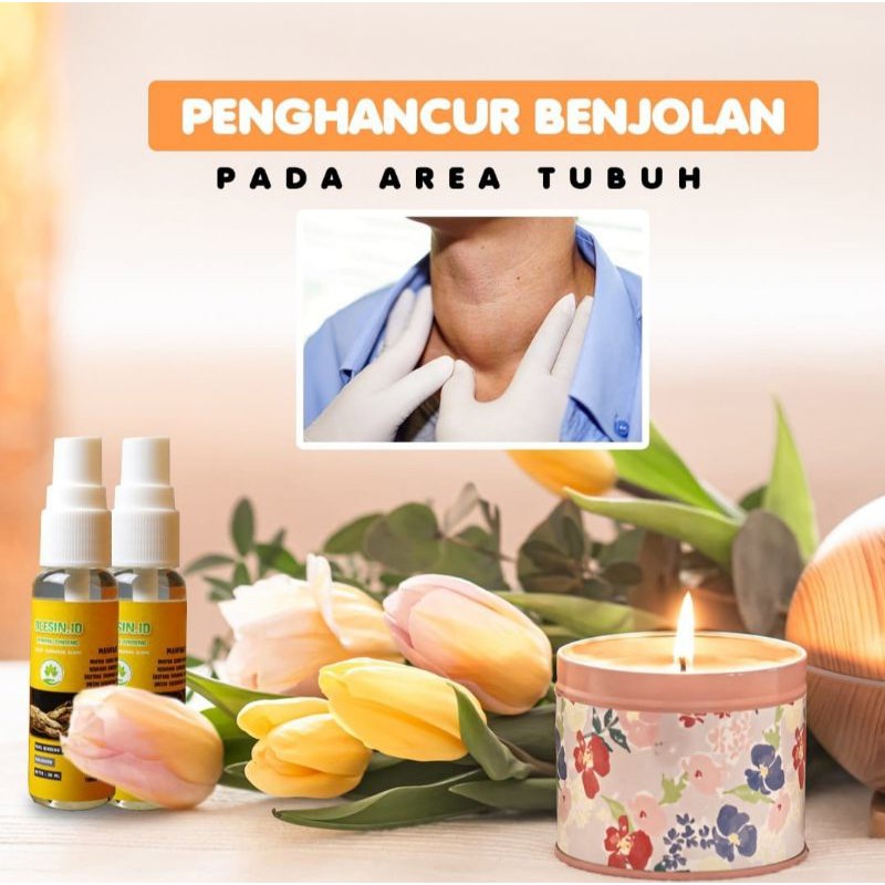 MINYAK GINSENG OLESIN.ID