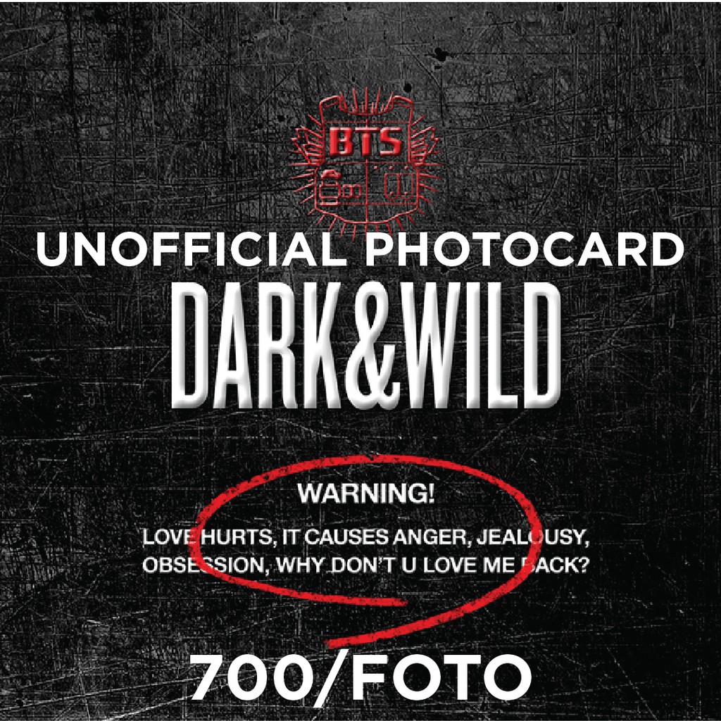 BTS - Dark And Wild