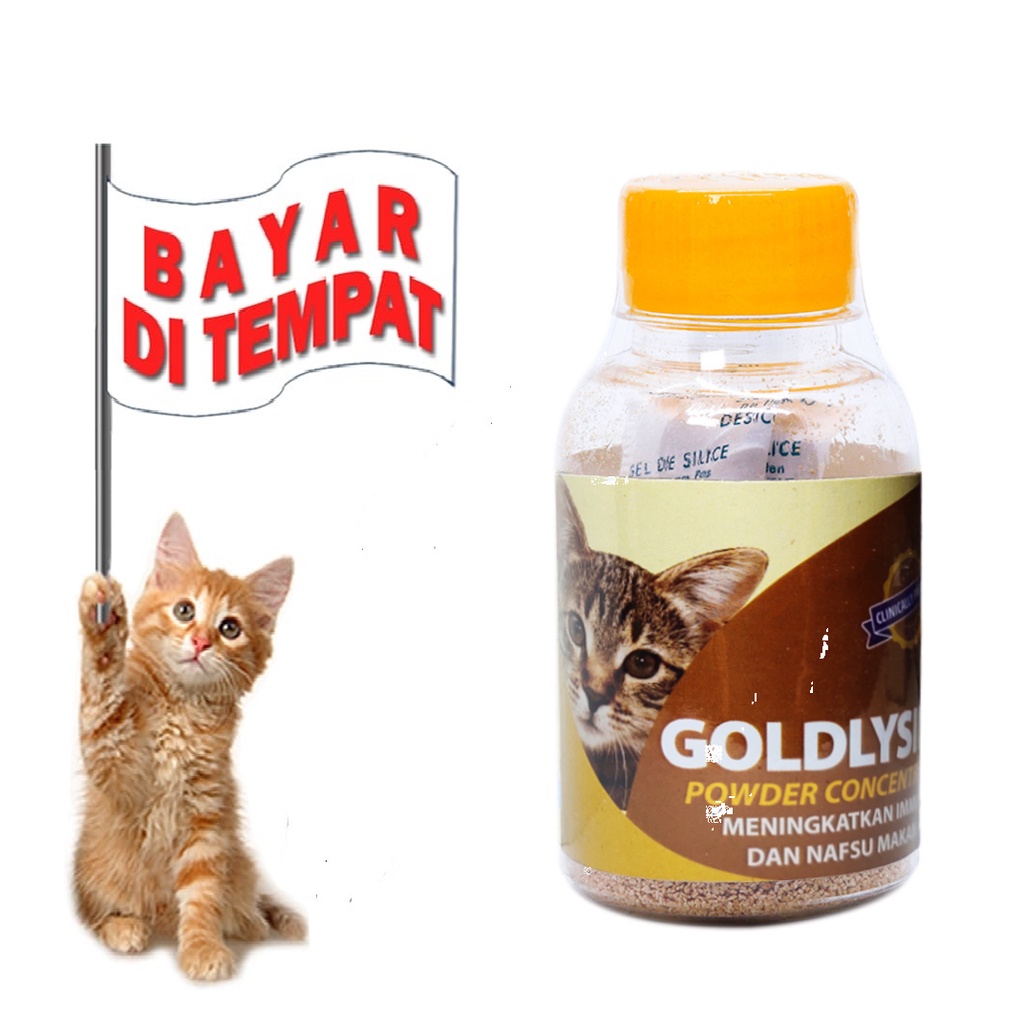 OBAT VITAMIN GEMUK KUCING GOLD LYSINE PENAMBAH BERAT BADAN AMPUH