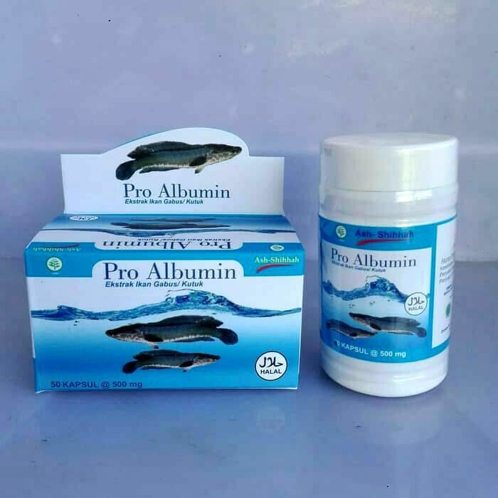 Pro Albumin Ekstrak Ikan Gabus Ikan Kutuk Obat Tbc Hepatitis Autis Tipus Dll Indonesia