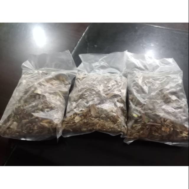 Pasak bumi