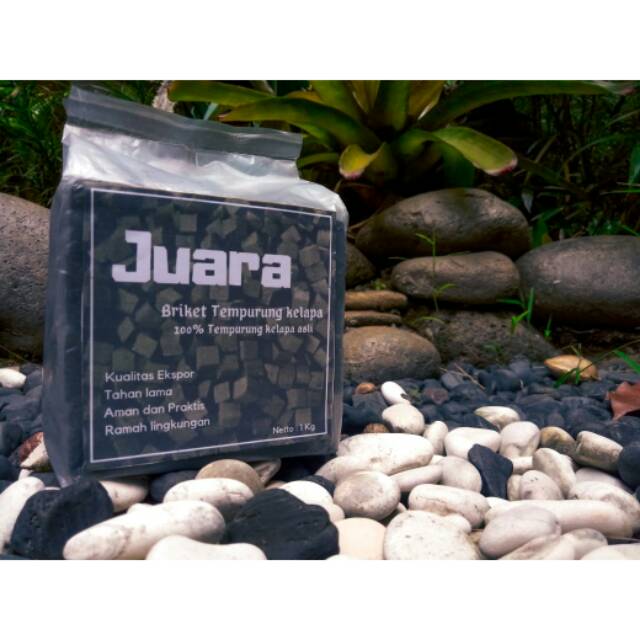 Briket Tempurung Kelapa