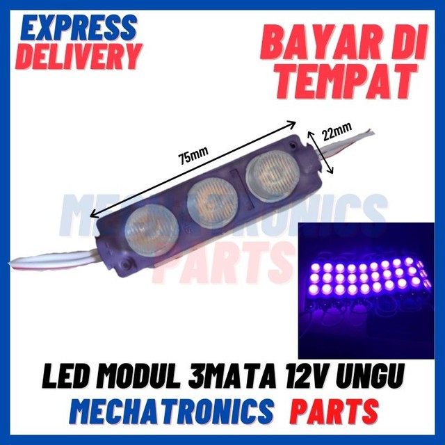 [DSP-9405] LED MODUL 3MATA  12V UNGU