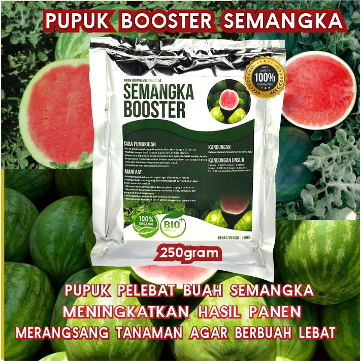 Pupuk Organik Pelebat Booster Semangka Perangsang Buah Semangka, Pupuk Pelebat Buah Semangka berkualitas Nutrisi Terbaik Cepat Berbuah Lebat,Pupuk Perangsang Semangka Organik dan Penyubur Tanaman Semangka