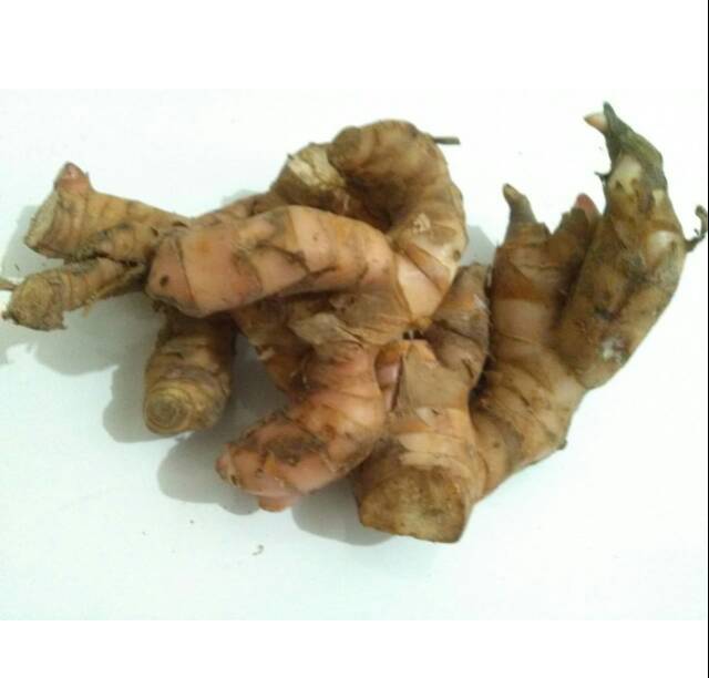 

Lengkuas / Laos Putih harga 1 kg