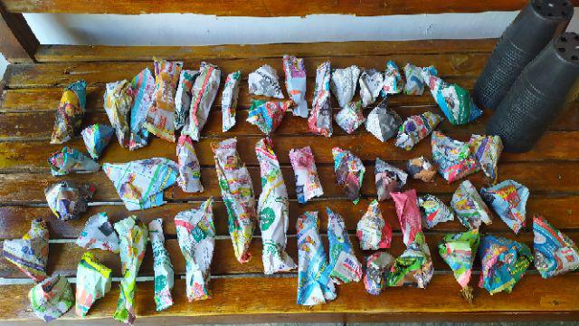 Kaktus Sukulen Paket 50 Pohon Bonus 50 Pot