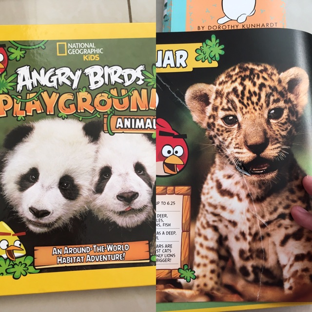 Preloved: angry bird playground panda . Kondisi ada 1 lembar yg robek.