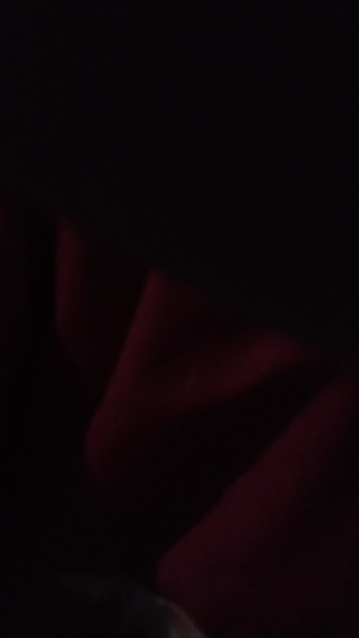 Terasi Udang/ebi 200gram