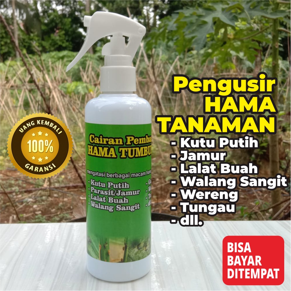 [Bogorfarm] PEMBASMI HAMA TANAMAN 250ml | Kutu Putih | Parasit | Lalat Buah | Wereng Dll