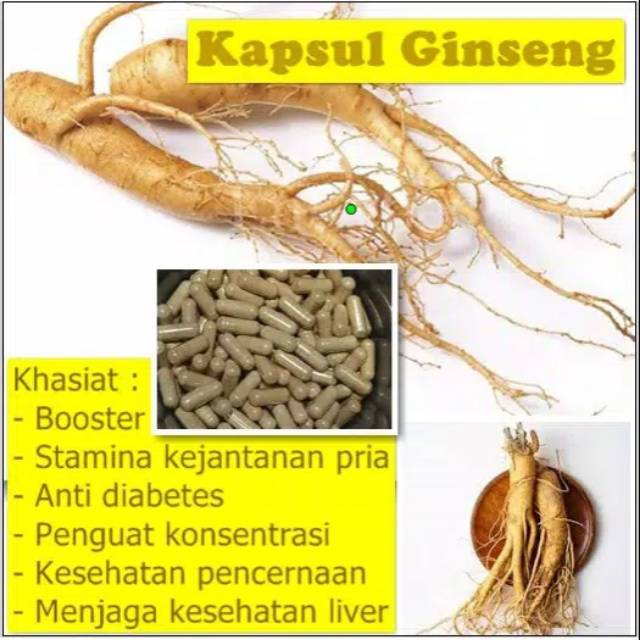 Kapsul Ginseng Panax Radix Obat Herbal Booster Kuat Stamina Pria perkapsul