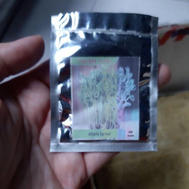 Benih Bibit Biji Alfalfa Microgreens Kemasan Alumunium Foil