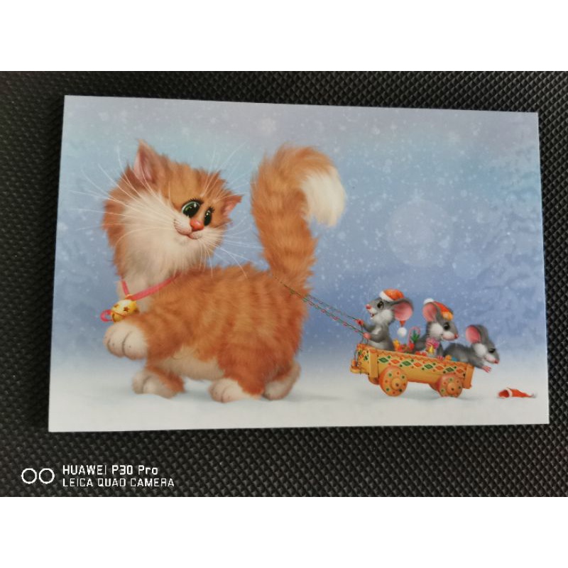 

kartu poa kucing dolotov/dolotov cat postcard