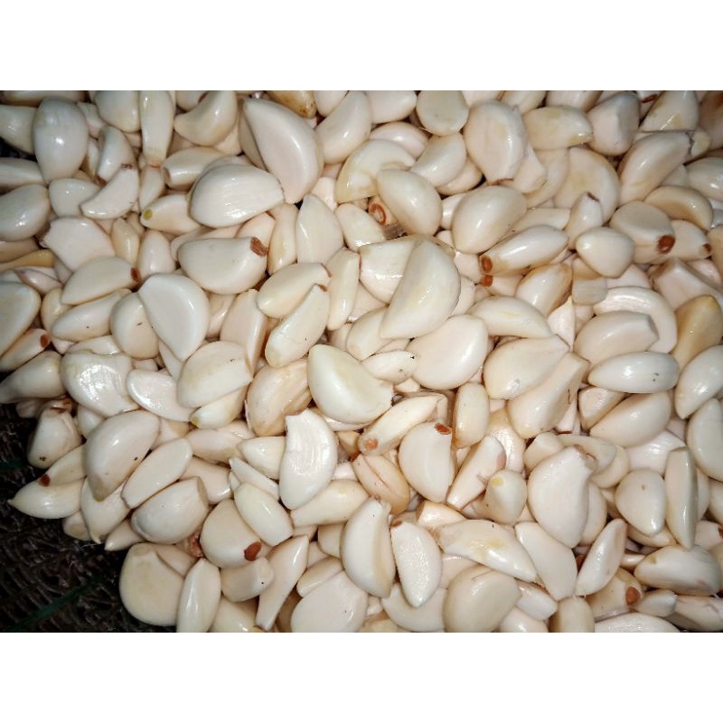 

bawang putih kupas 500gr