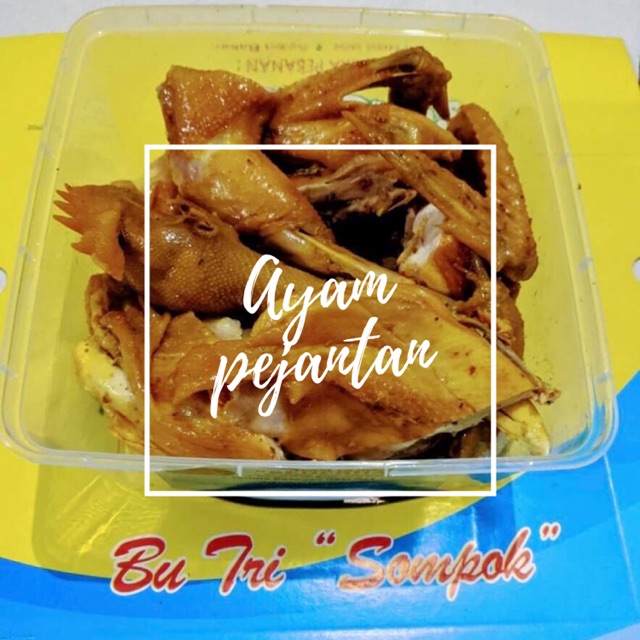 Jual Ayam Pejantan Shopee Indonesia