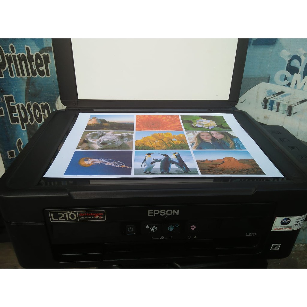 Jual Printer Epson L210 Bekas Bergaransi Shopee Indonesia 3954