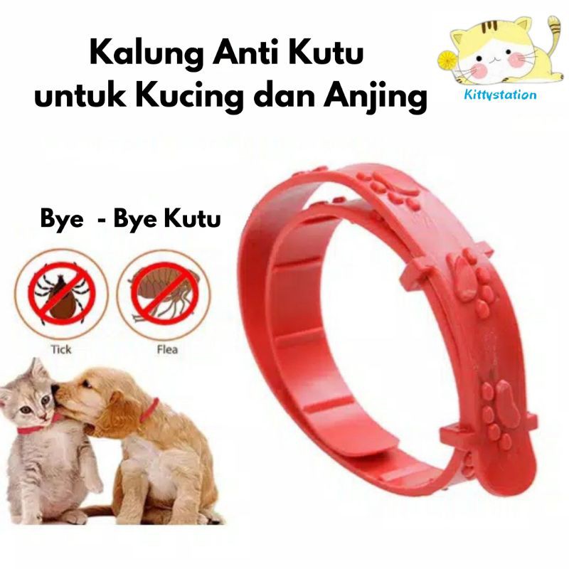Kalung Anti Kutu Kalung Kucing Anti Kutu Kalung Anjing Anti Kutu