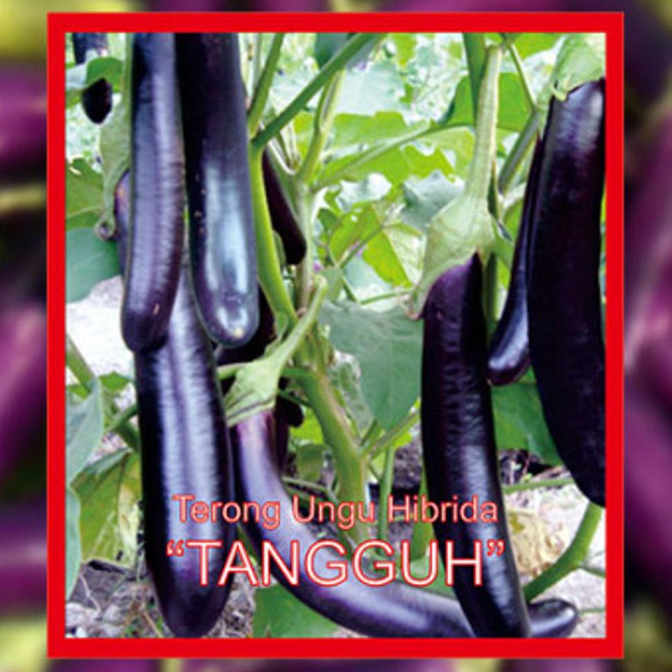 Product Paket Hemat Benih/Bibit Eceran (Sayuran Dan Buah) #_#