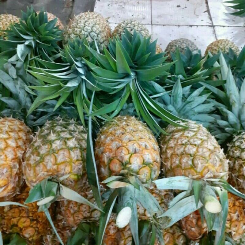 

Nanas Segar Lokal 500gram