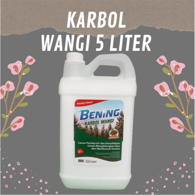 Cairan Karbol Rumah Sakit Pewangi Kamar Mandi Bandung, Wangi Cemara 5 liter, Karbol Pembersih Lantai
