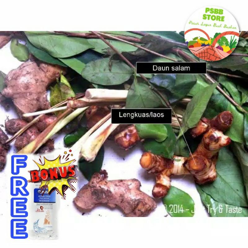 

PASAR GUBENG - Empon Empon - Per Pack