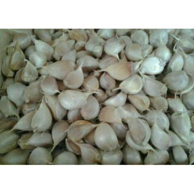 

Tokko Bawang Putih Kating