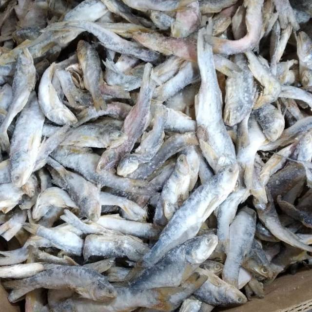 

Ikan senagin 500grm