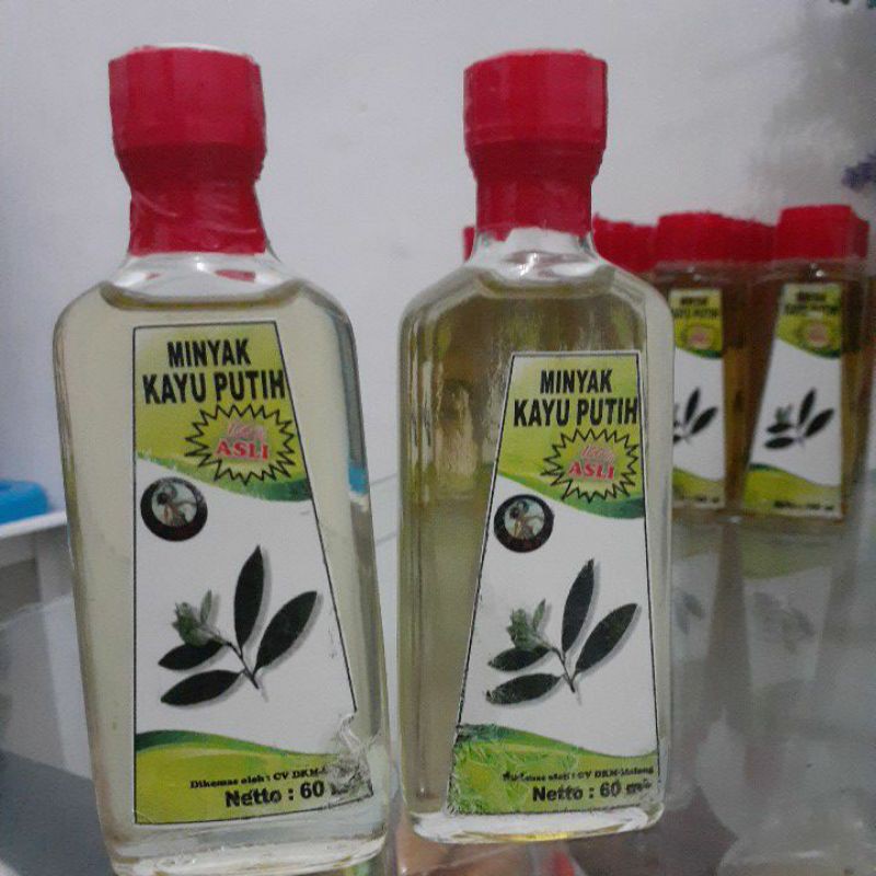 MINYAK KAYU PUTIH MURNI ASLI PERHUTANI 60 ML botol kaca
