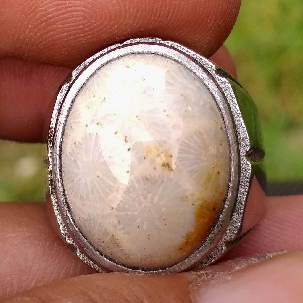 Batu Akik Teratai Putih Asli Motif Alami Dim-15 Ring Titanium Simple