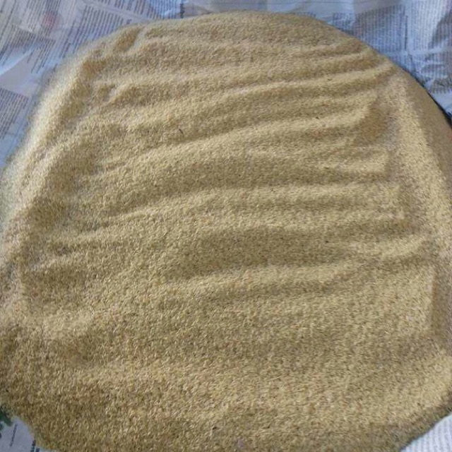 TELUR JANGKRIK / BIBIT JANGKRIK ALAM  DAN KALUNG 1 KG