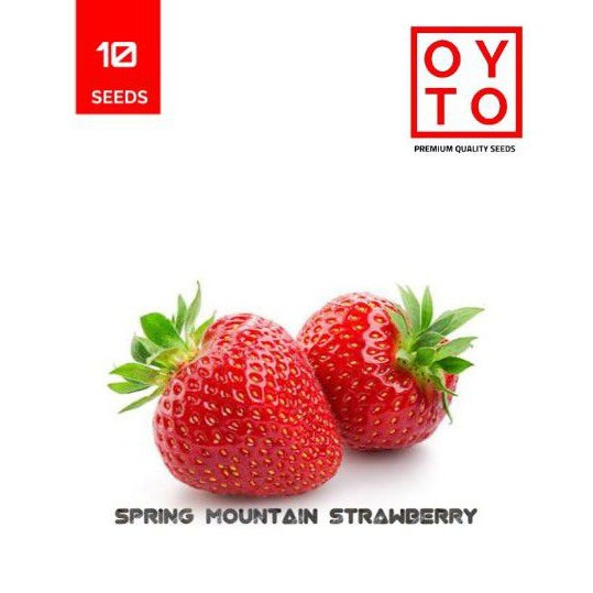 BENIH STRAWBERRY BIBIT BUAH BENIH TANAMAN