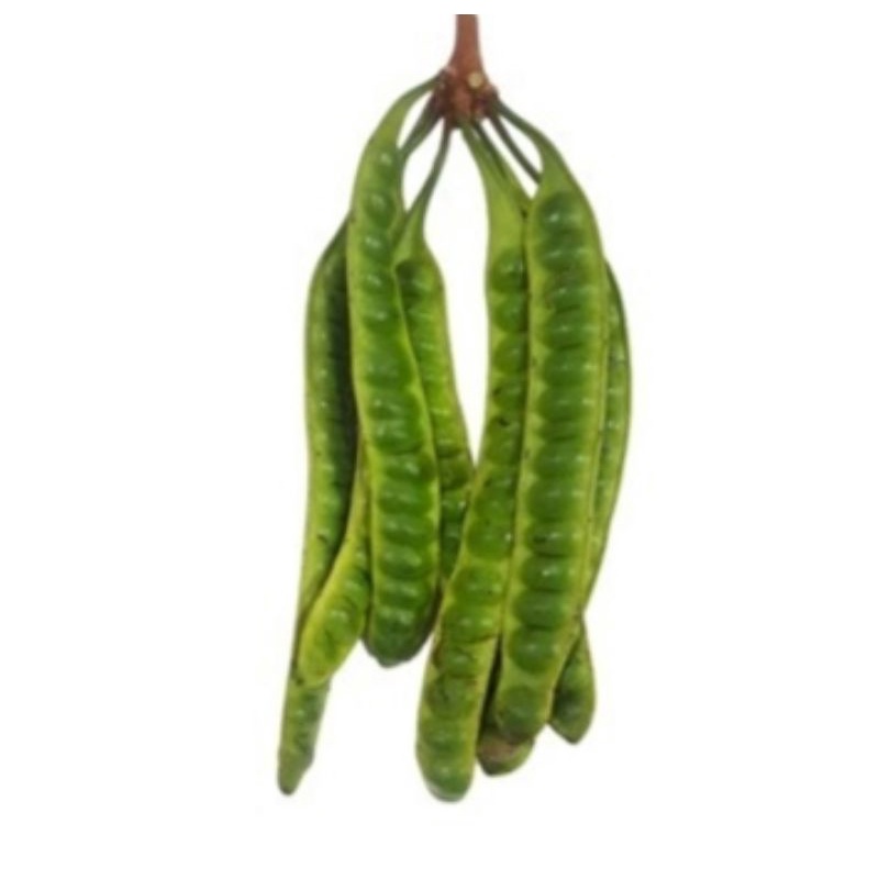 

Pete / PETAI super 1 papan