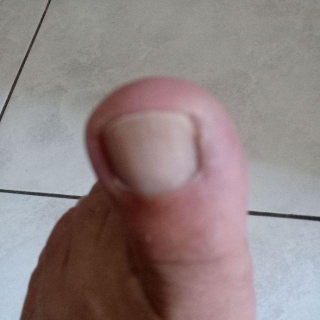 Size M L Xl Xxl Xxxl Bswart Batik Hrb026 Kenongo Hem Pendek Padi Pekalongan M L Xl Batik