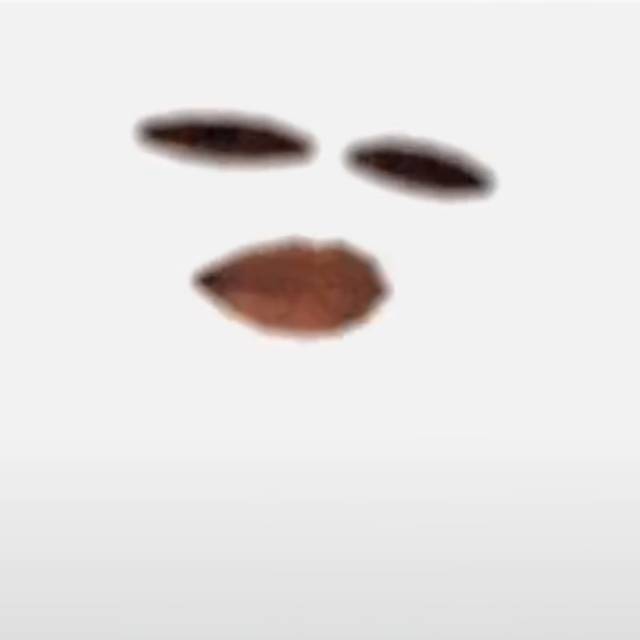 arlettafrinzygiovanya