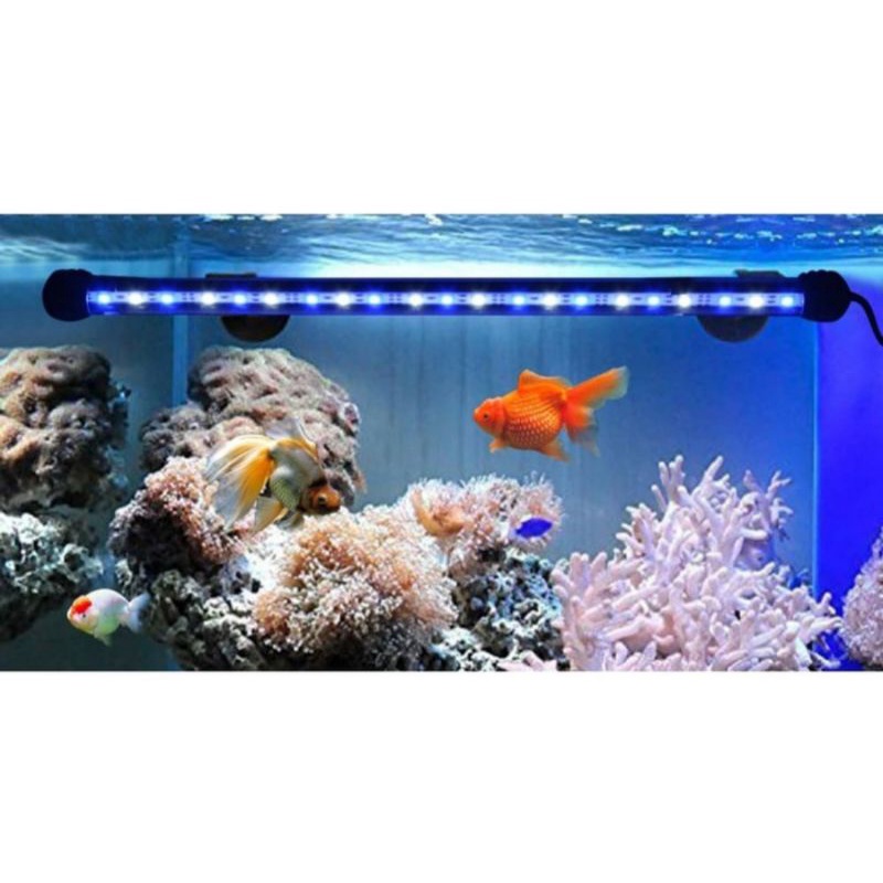 Lampu LED EKSIS Aquarium 60cm 40cm 30cm 20cm Aquascape terang EK-L600