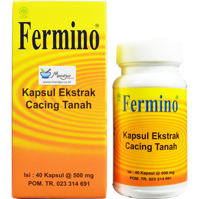 Obat Obatan Herbal / Fermino (Kapsul Ekstrak Cacing Tanah) 40 Kapsul - Obat Tifus / Tipes | The Tian