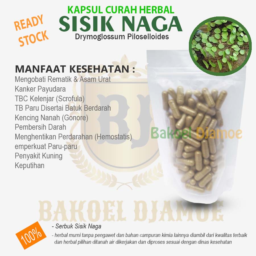 

Kapsul curah herbal sisik naga kapsul herbal rematik asam urat