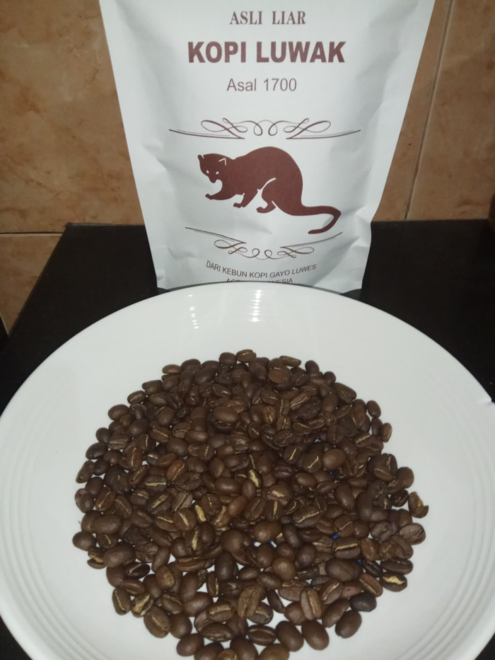 

Kopi Luwak Liar Gayo organik yang sudah diroasting dan bersertifikat