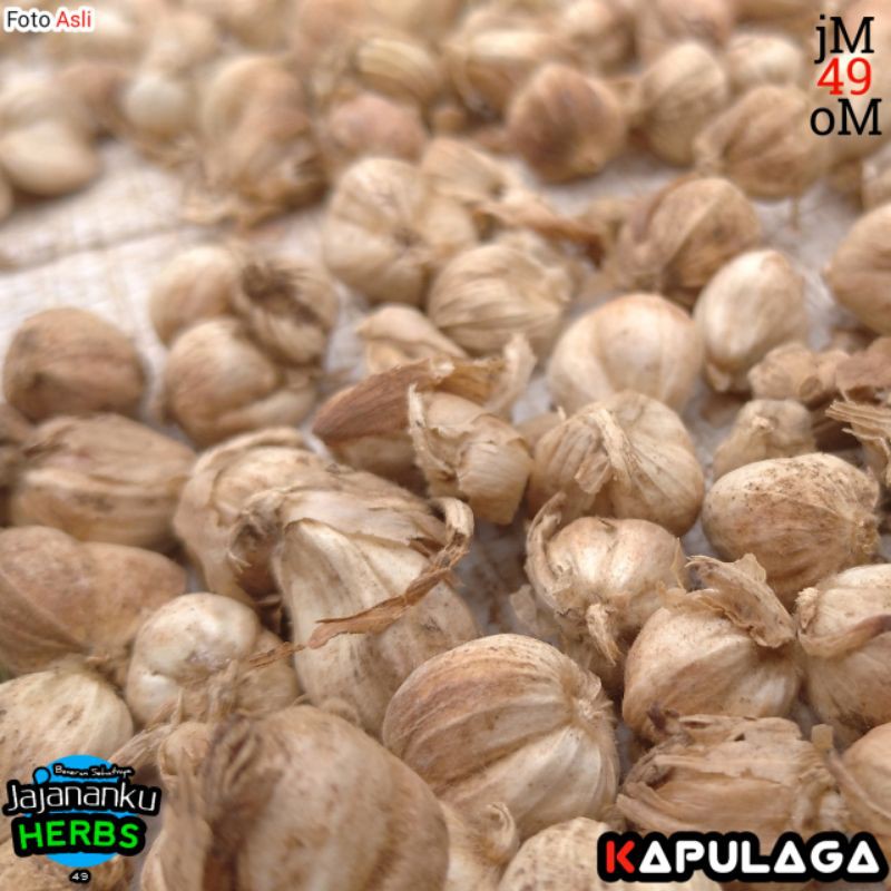 

KTr190 Kapulaga Kering 1 Kg Best Quality Biji dan Ukuran Campur Cardamom Java Original