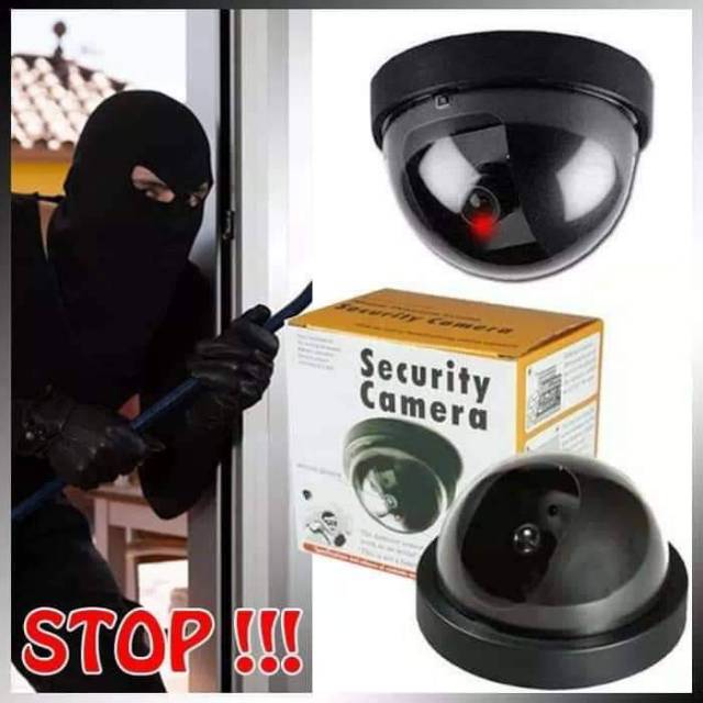 Cctv palsu