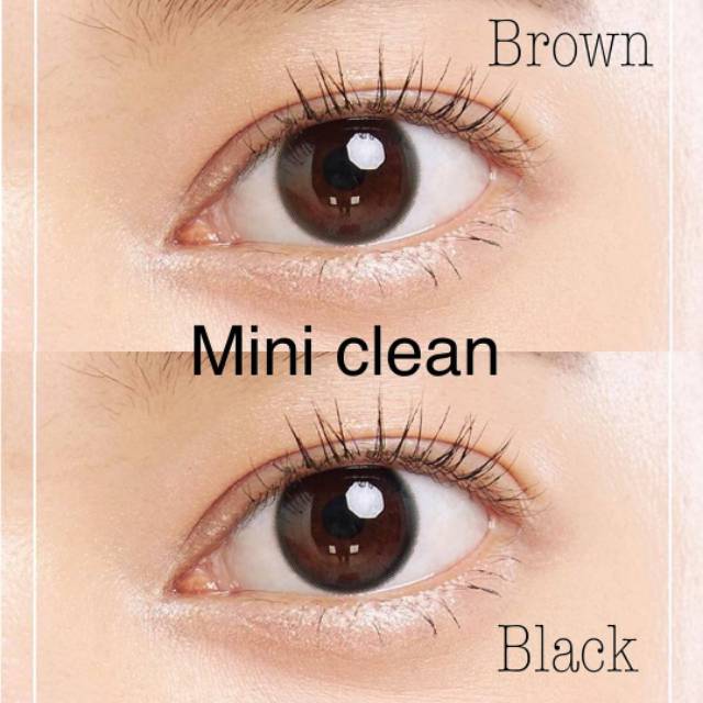 Softlens Kitty Kawaii Mini Clean Brown